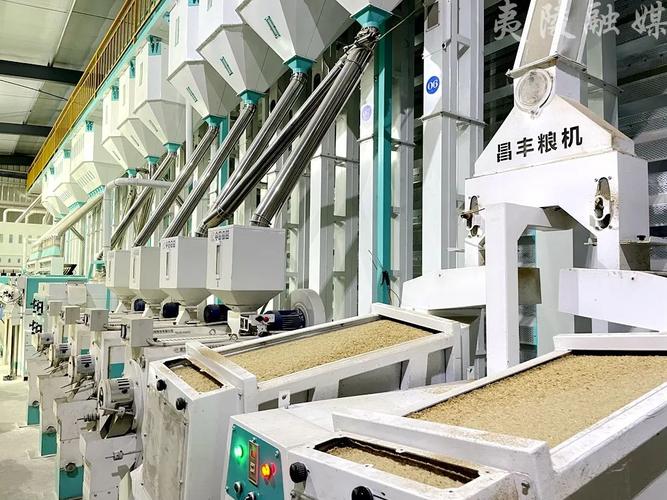 夷陵有机大米这样“炼”成