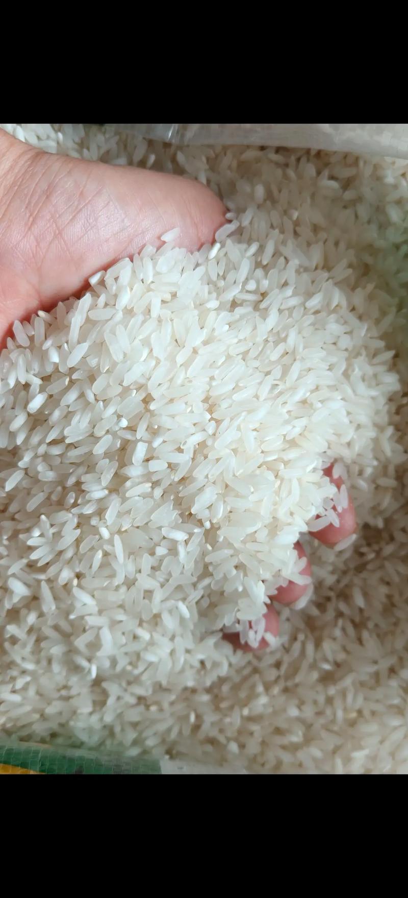 23年加工大米、米白散饭，价格实惠，要的联系
