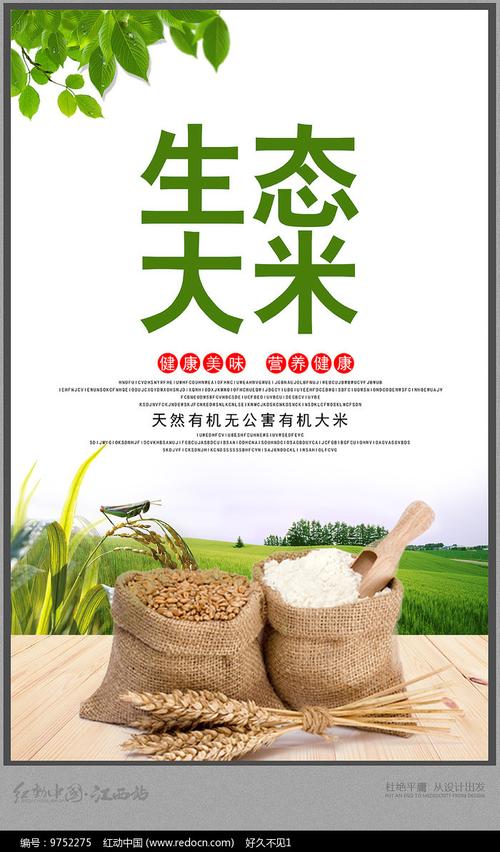大米海报设计